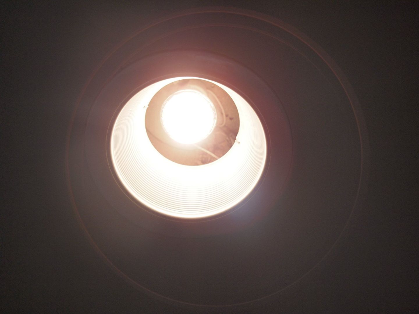 Customer photo review of PAR20 50W Ceiling Can Fixture Light Bulb Replacement Halogen Lamp E26 120V