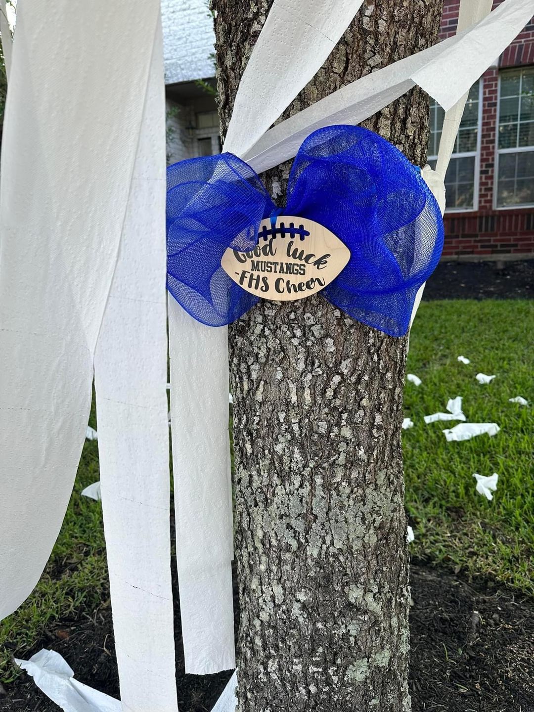 Customer photo review of Unfinished Wood Football Threads Shape - Sports Craft - up to 36" DIY