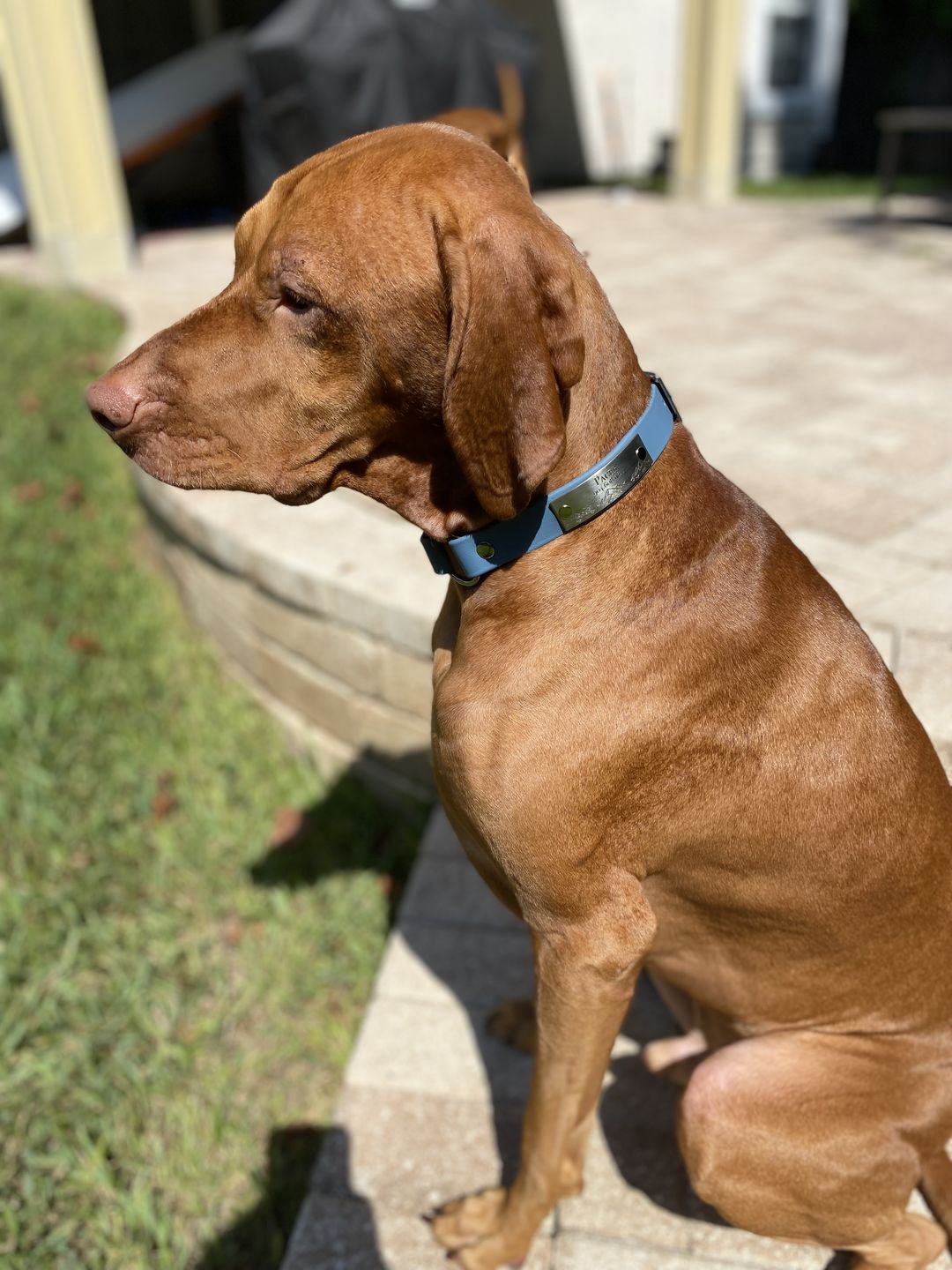 Customer photo review of Designer Rivet-On Tag