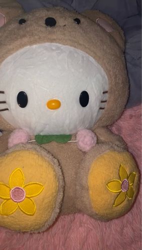 Customer photo review of Hello Kitty Kawaii Fandom Cosplay Plushie