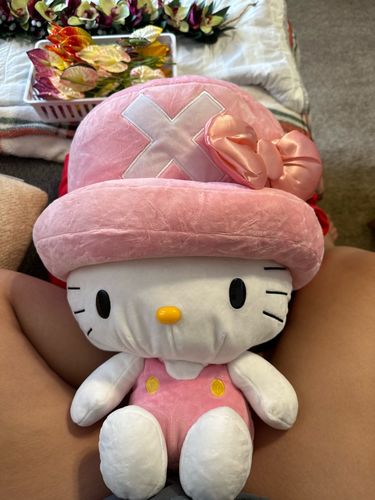 Customer photo review of Hello Kitty Kawaii Fandom Cosplay Plushie