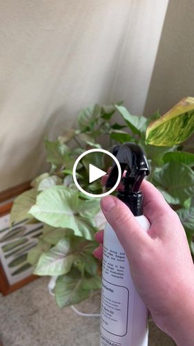 Customer video review of Houseplant Insecticide w/ Neem