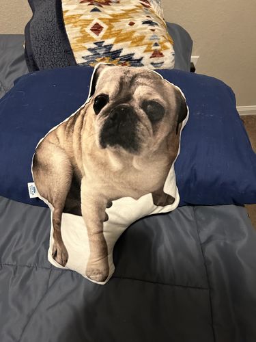 Customer photo review of Create A Custom Dog Pillow