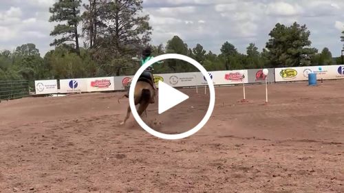 Customer video review of OptiWize Collagen +Plus Equine 8lbs