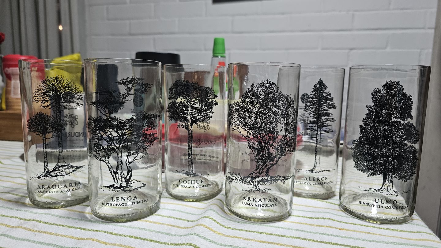 Customer photo review of Juego de 6 Vasos Árboles de Chile