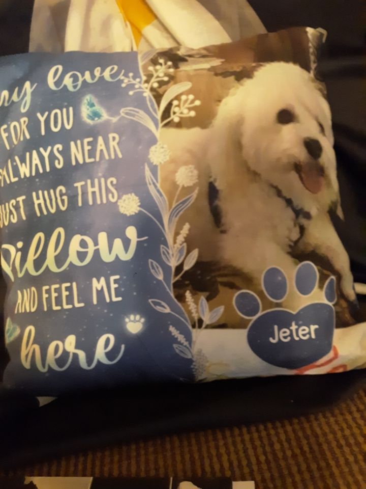 Customer photo review of Custom Photo My Love For You Is Always Here - Memorial Personalized Custom Pillow - Sympathy Gift, Gift For Pet Owners, Pet Lovers
