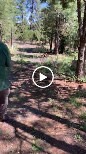 Customer video review of GrubTerra Dried Larvae