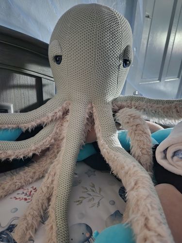 Customer photo review of The Octopus