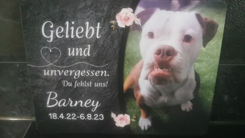 Customer photo review of Hunde Gedenktafel mit Foto & Spruch