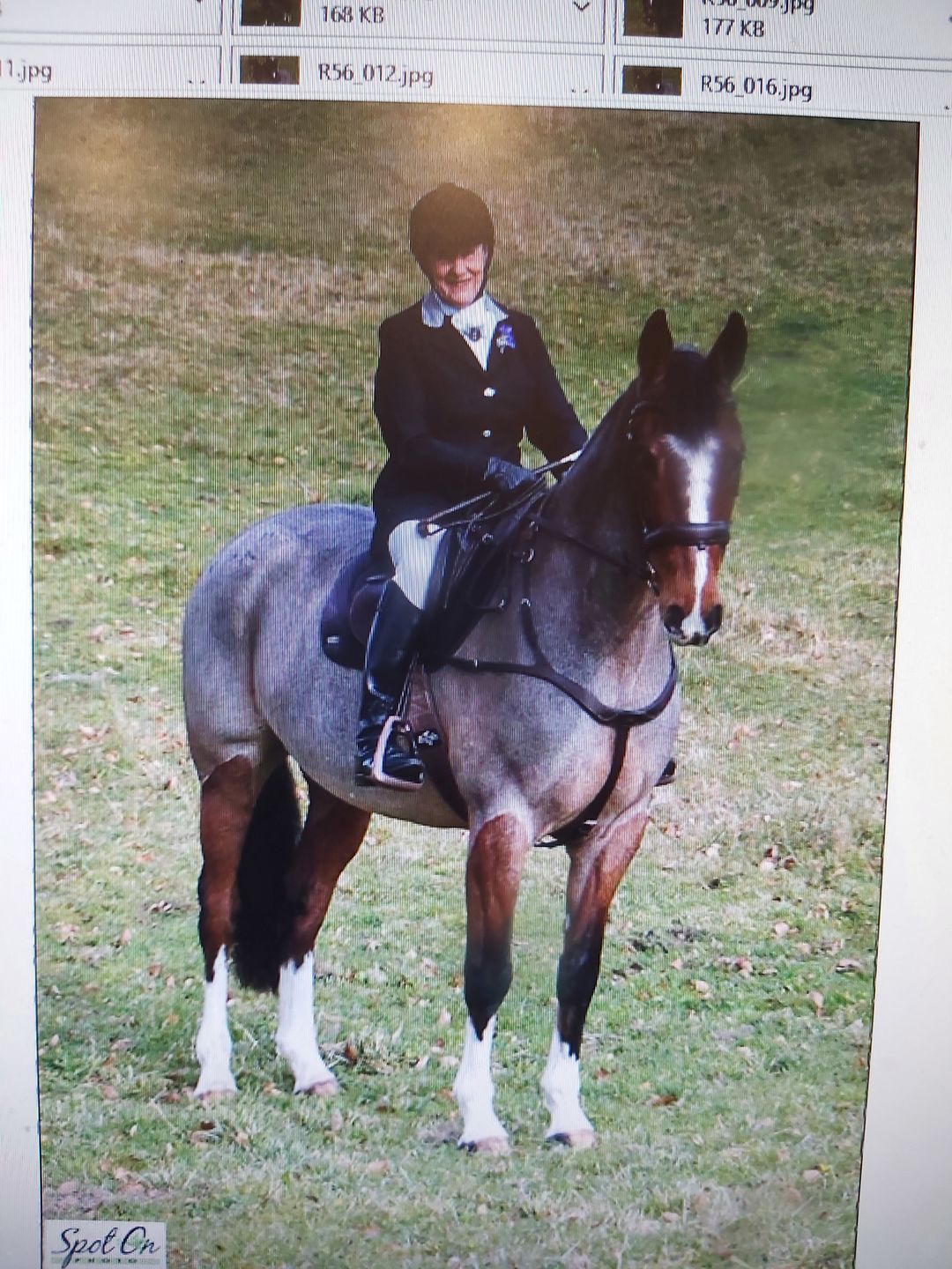 Customer photo review of Digestive VM - Equine Minerals & Vitamins