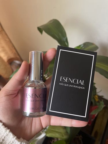 Customer photo review of H284 Inspirado en: Après l’Amour (4) - Thomas Kosmala