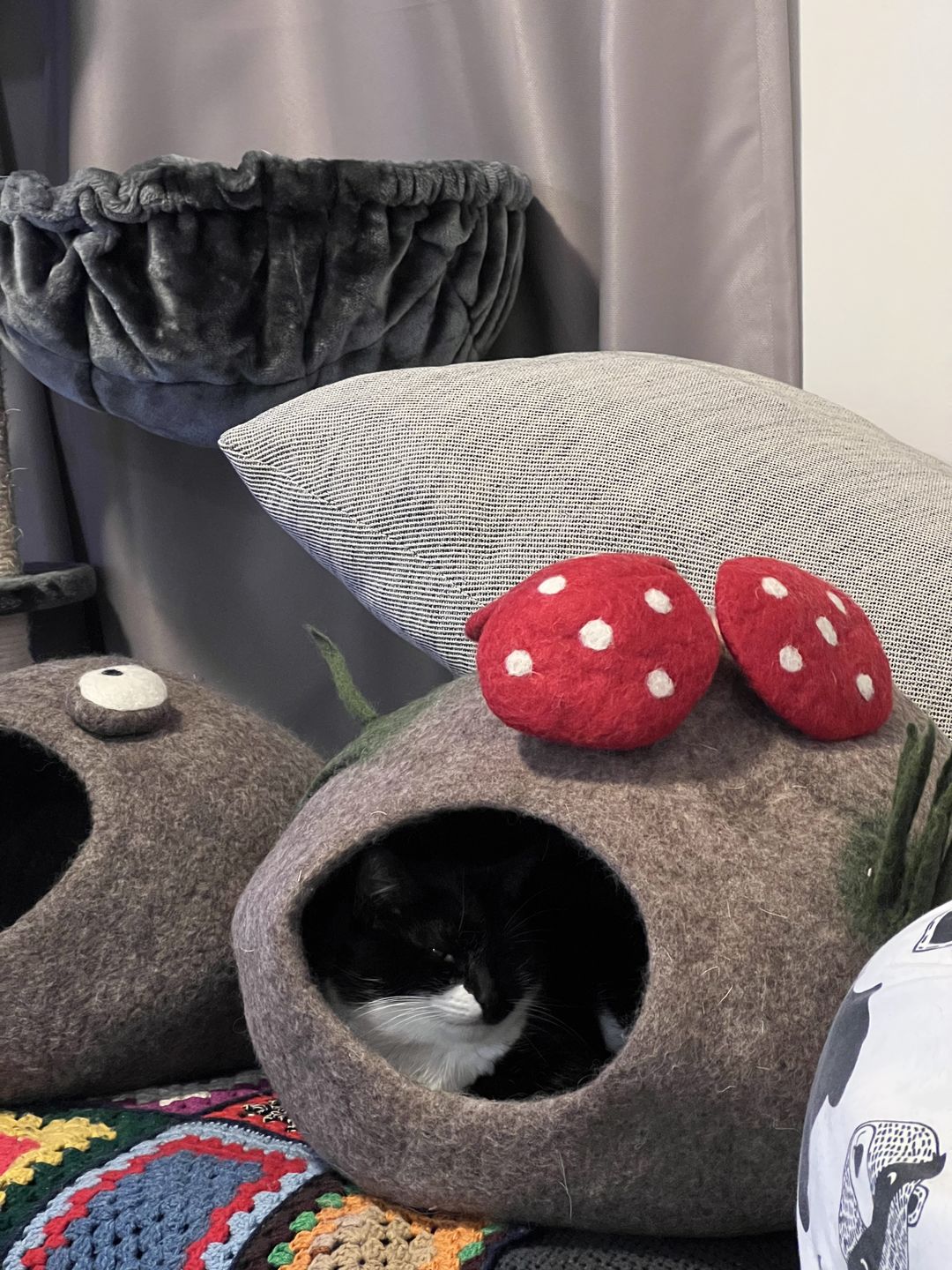 Customer photo review of Toadstool Cat Cave with Mouse Toy