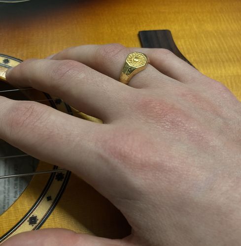 Customer photo review of Sun Signet | Gold