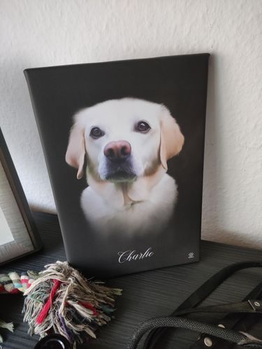 Customer photo review of Öl Pawtrait