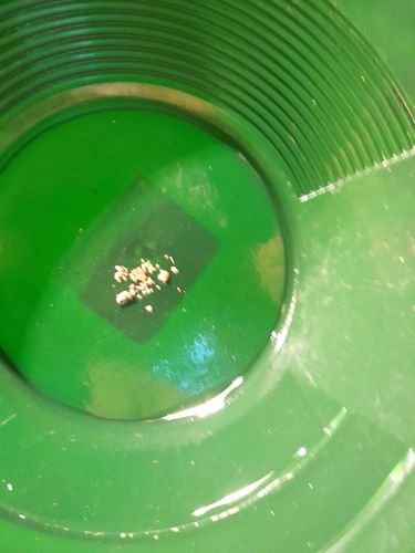 Customer photo review of Nugget Reserve 'MUSEUM SPECIMEN CHASE' - Gold Panning Paydirt Concentrate
