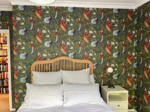 Customer photo review of Yasuni - Wallpaper 5 Colours