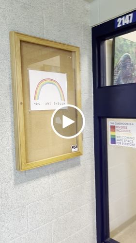 Customer video review of Mystery Poster Pack