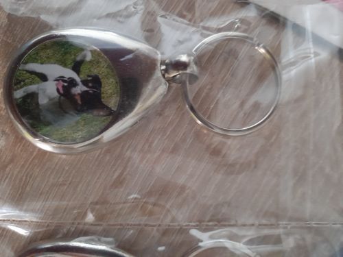Customer photo review of Schlüssel- Anhänger mit Foto „Tropfen“ + Einkaufswagen Chip