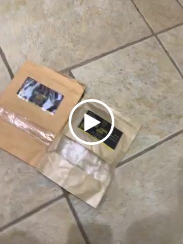 Customer video review of St. Johns Bush