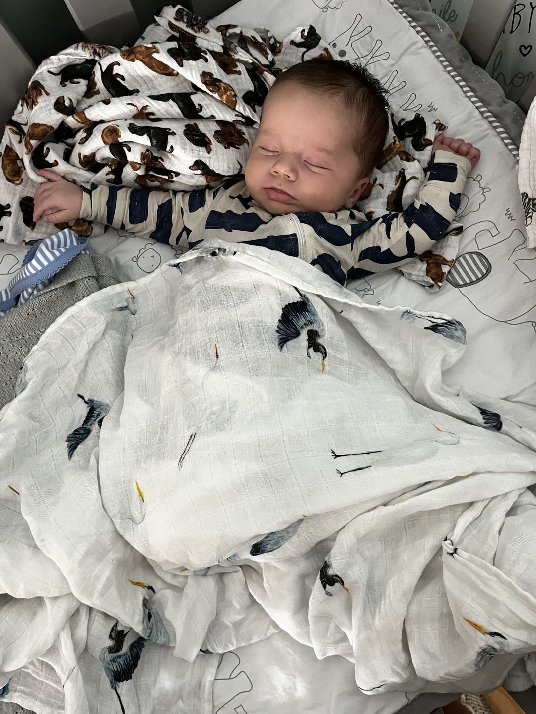 Customer photo review of Southern Storks