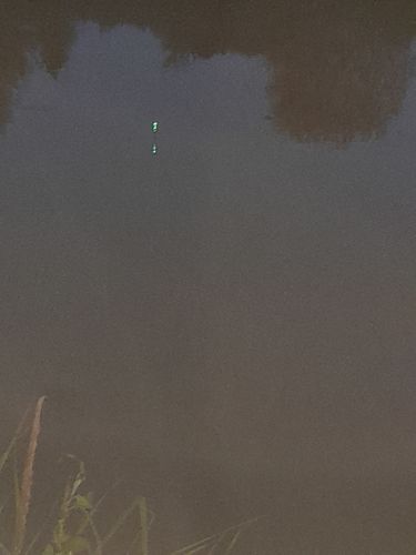 Customer photo review of 10g Smart Fishing Float