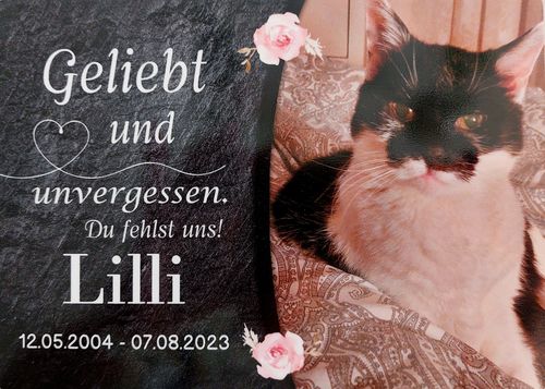Customer photo review of Katzen Gedenktafel mit Foto & Spruch (UV- und wetterbeständig)