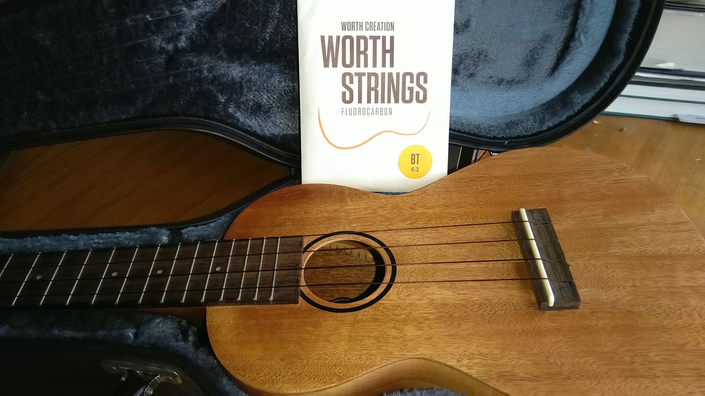 Customer photo review of BT Worth Brown Tenor Ukulele Strings High G Fluorocarbon 2 Restrings per Pack