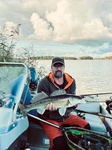 Customer photo review of USB Speed Charger inkl. 2x Akkus