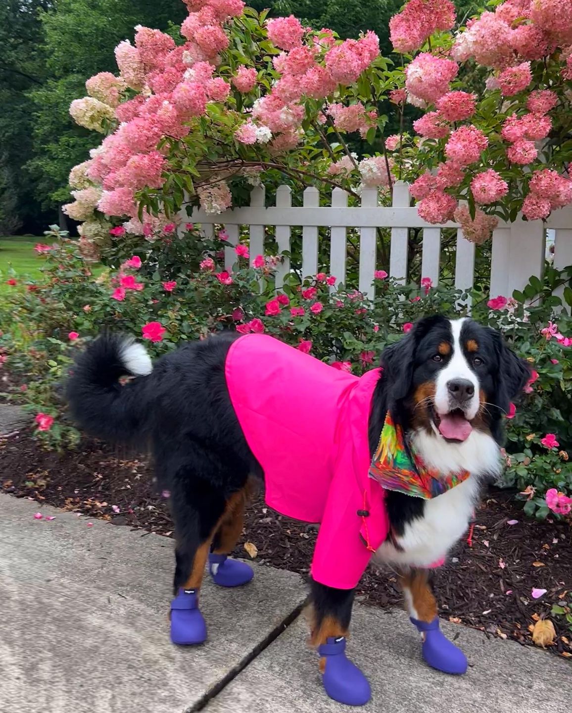 Customer photo review of Nylon Rainbreaker