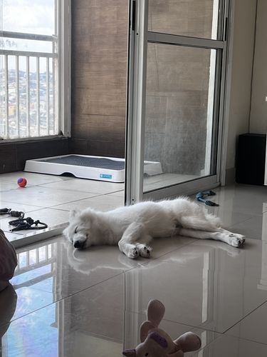 Customer photo review of Weasy Bag