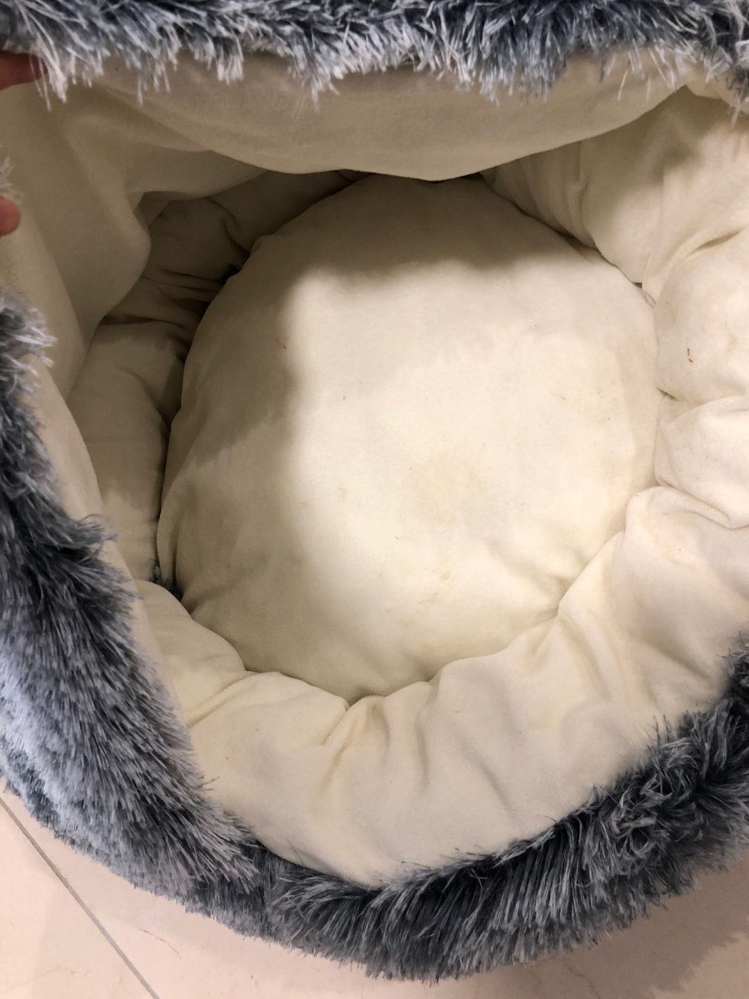 Customer photo review of Shell Bed