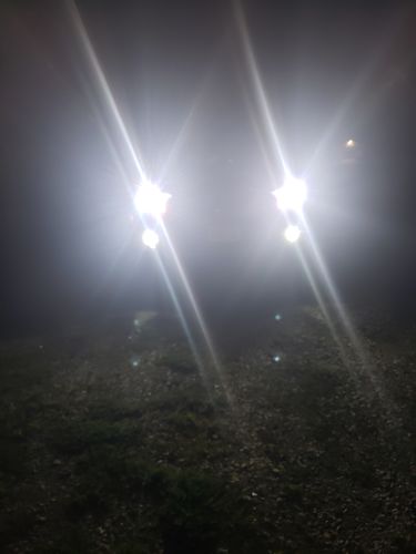 Customer photo review of Super Bright 6000K LED Fog Lights