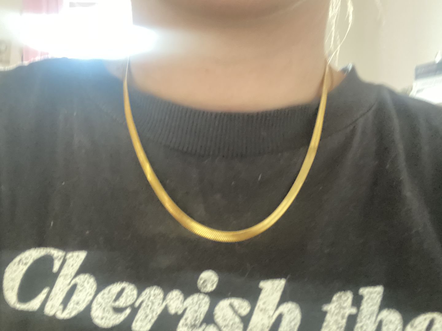 Customer photo review of Ivy - Snake Chain Necklace Stainless Steel