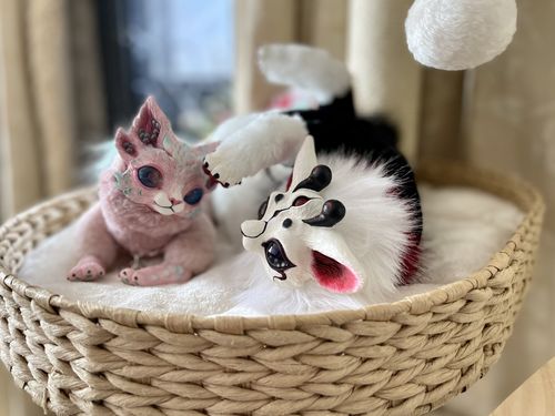 Customer photo review of Moon Cat