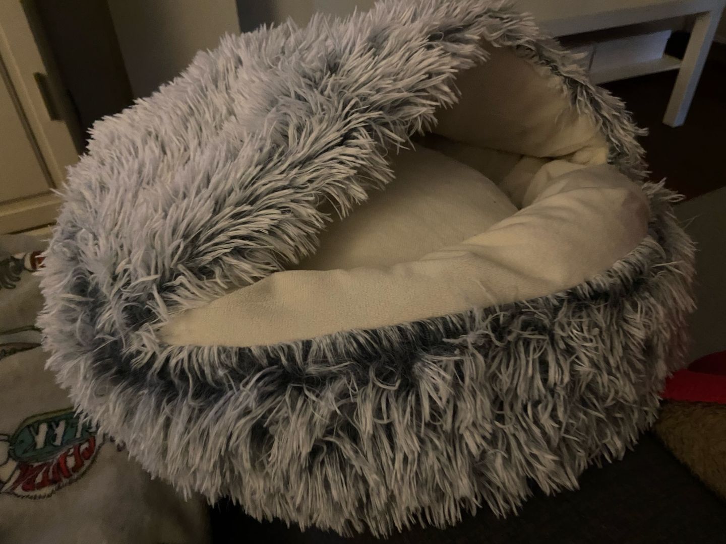 Customer photo review of Shell Bed