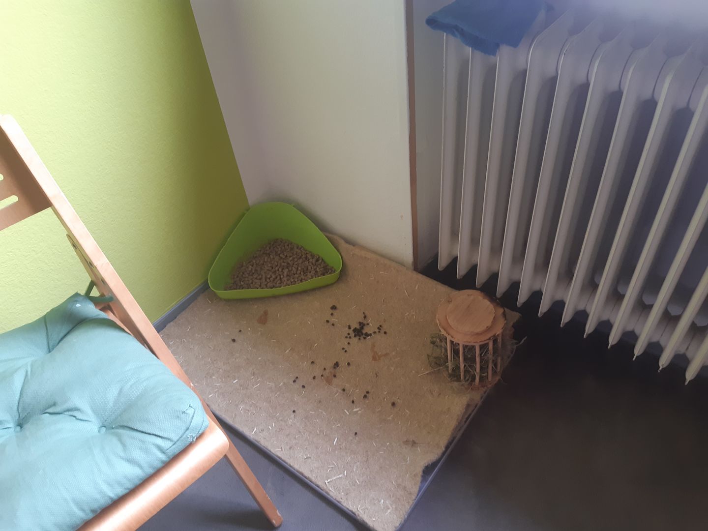 Customer photo review of Nagerteppich aus 100% Hanf auf Rolle mit 15m Länge, 60cm Breite, 10mm dick