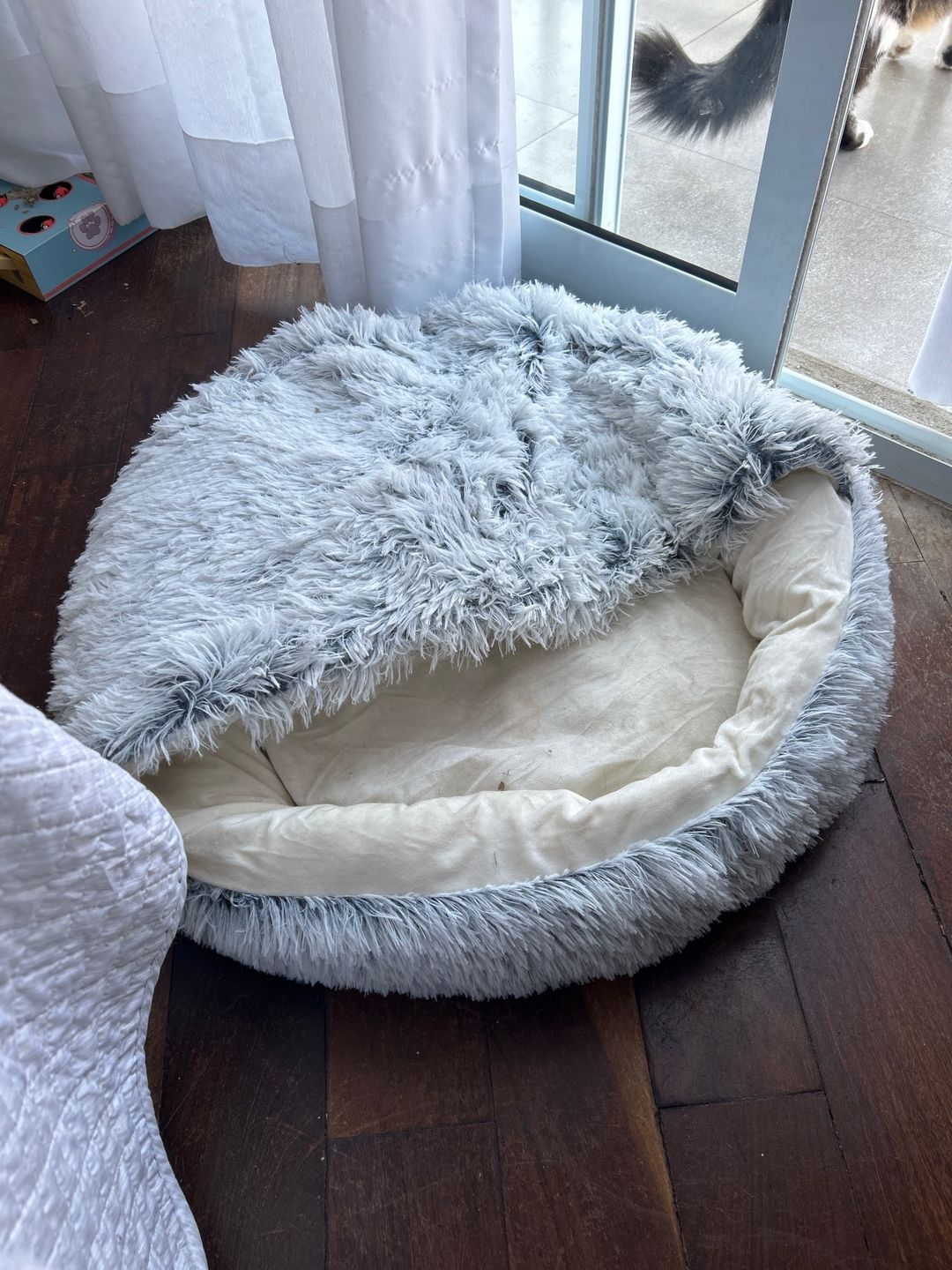 Customer photo review of Shell Bed