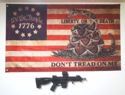 Customer photo review of AR- Mount