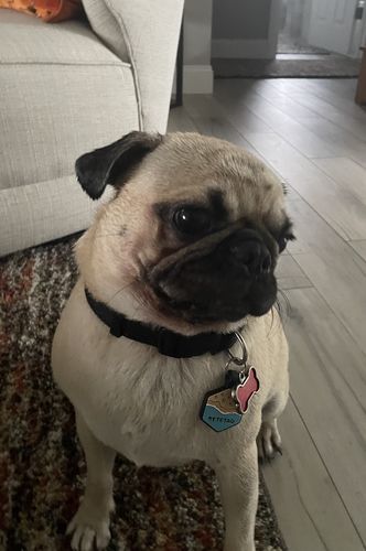 Customer photo review of Beach Silicone