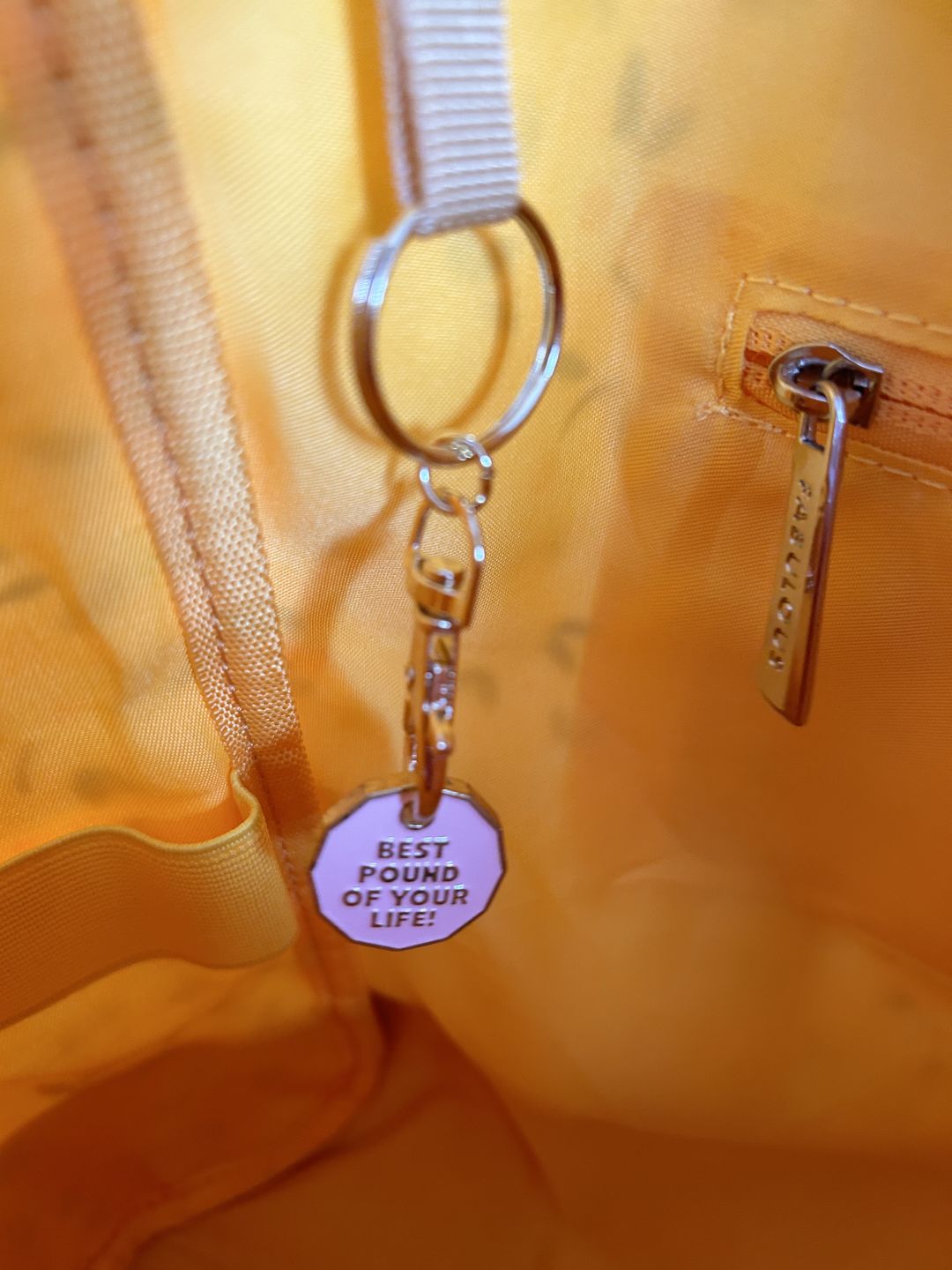 Customer photo review of Freebie Best Pound of Your Life - Trolley Coin