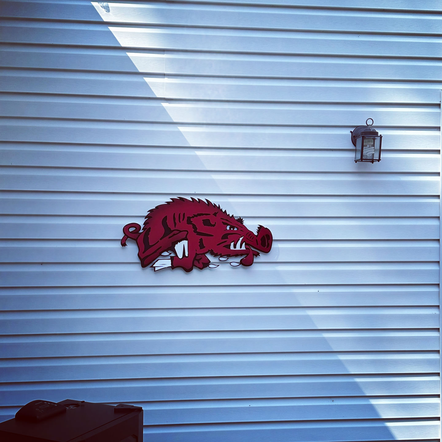 Customer photo review of Arkansas Razorbacks VAULT "Slobbering Hog" 3D Vintage Metal Wall Art
