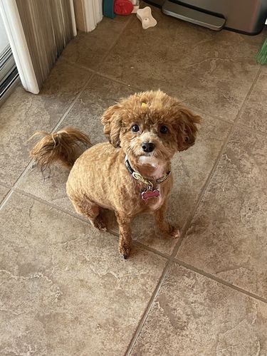 Customer photo review of ByteTag Slide