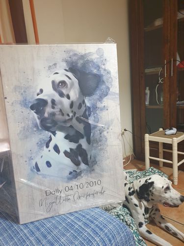 Customer photo review of Foto de tu mascota en estilo acuarela | Regalo para cachorros, perros y gatos