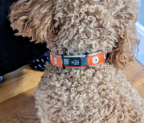 Customer photo review of ByteTag Slide