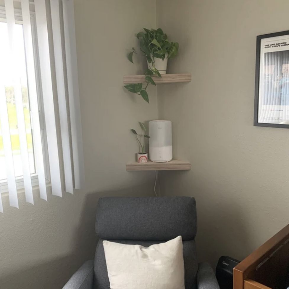 Customer photo review of Birch Plywood Boomerang Corner Shelf