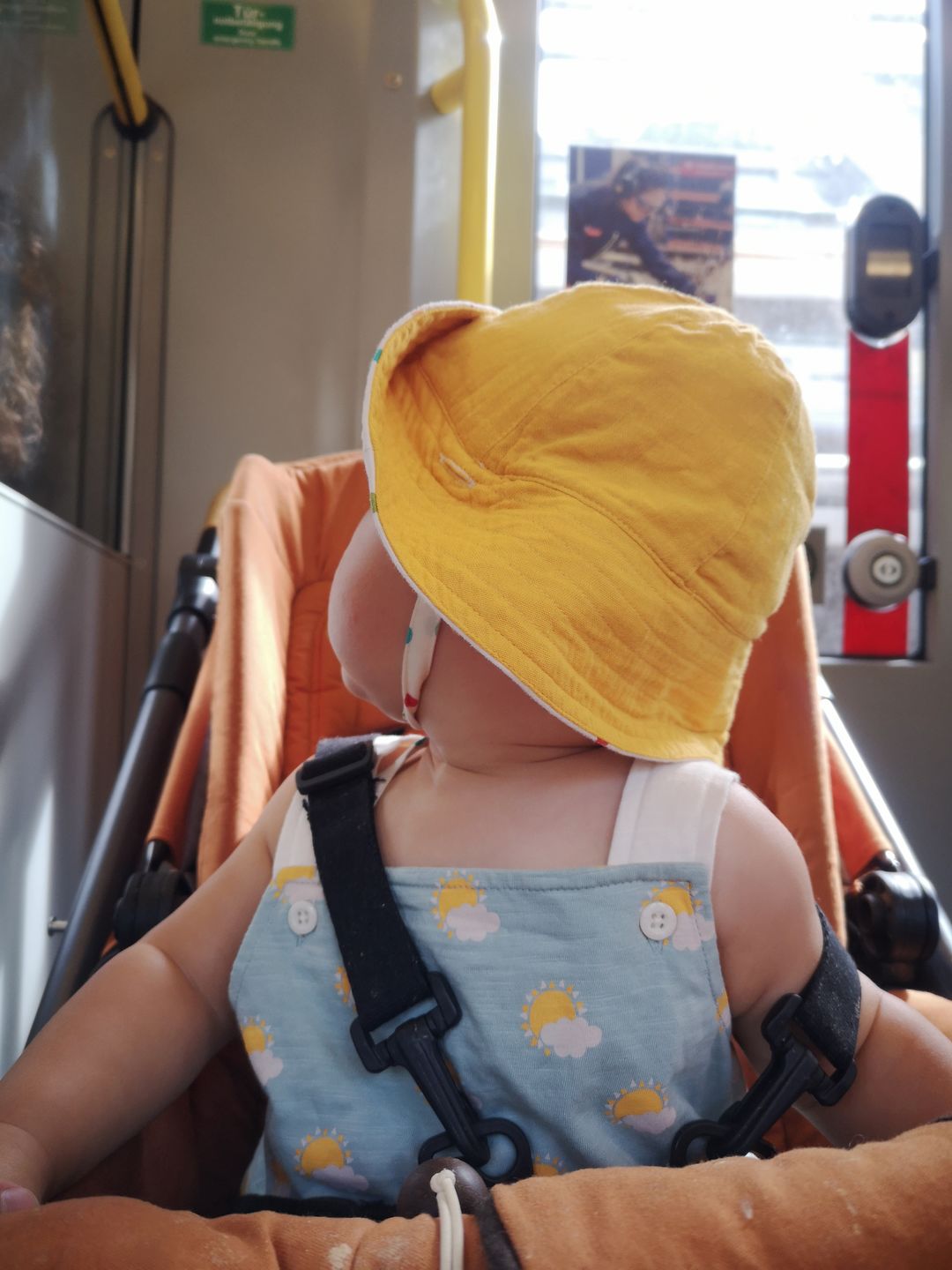 Customer photo review of Sunshine Storytime Dungaree Shorts