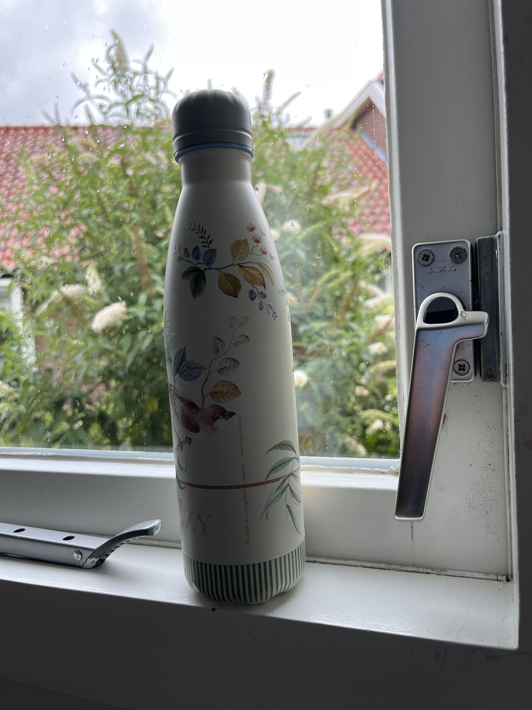 Customer photo review of Little Birds