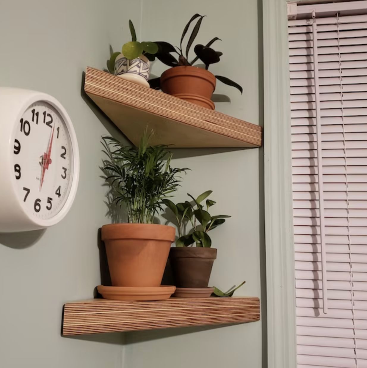 Customer photo review of Birch Plywood Boomerang Corner Shelf