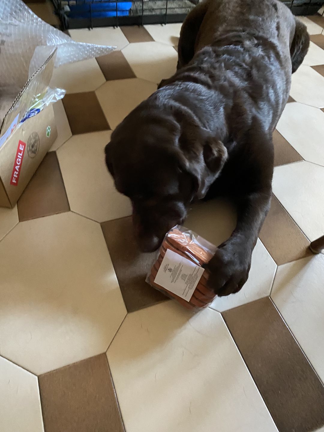 Customer photo review of Ossotti Per Cani  Personalizzabili