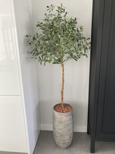 Customer photo review of Kunst Olijfboom 130cm
